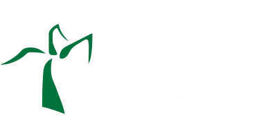 Bacaba Construtora