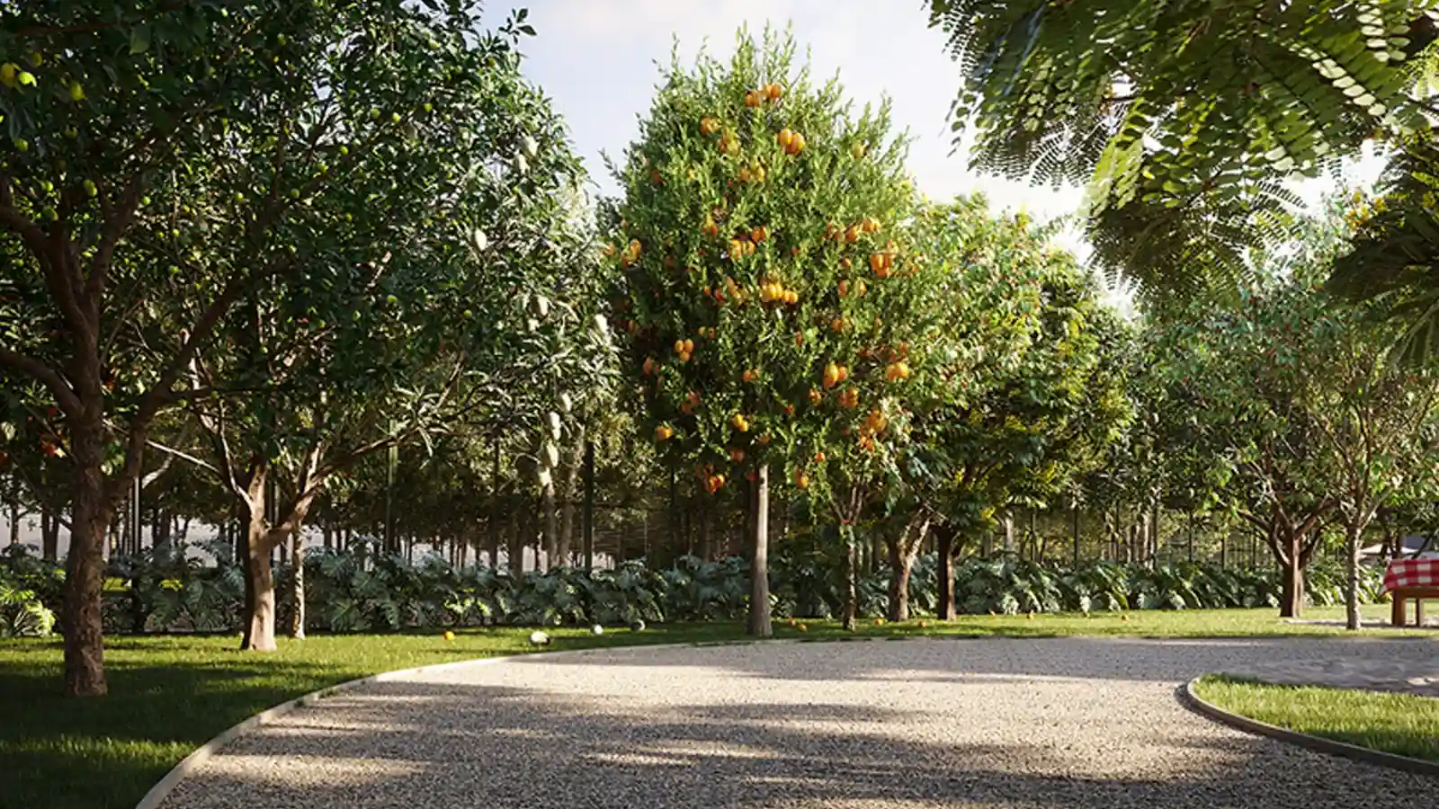 Quintal Suzano 2 em Jardim Santa Inês, Suzano – foto 13