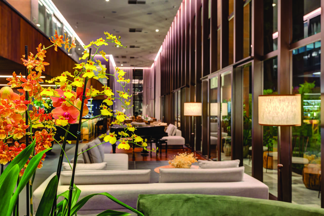 Hotel Qoya São Paulo — Curio Collection by Hilton em Paraíso, São Paulo – foto 8
