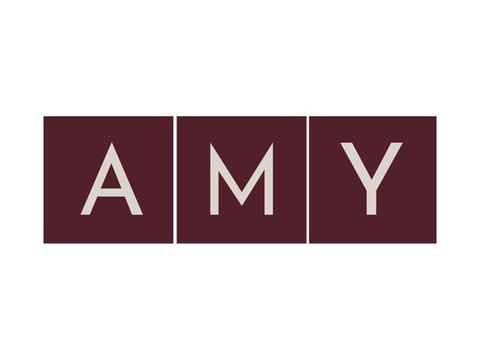 AMY Engenharia