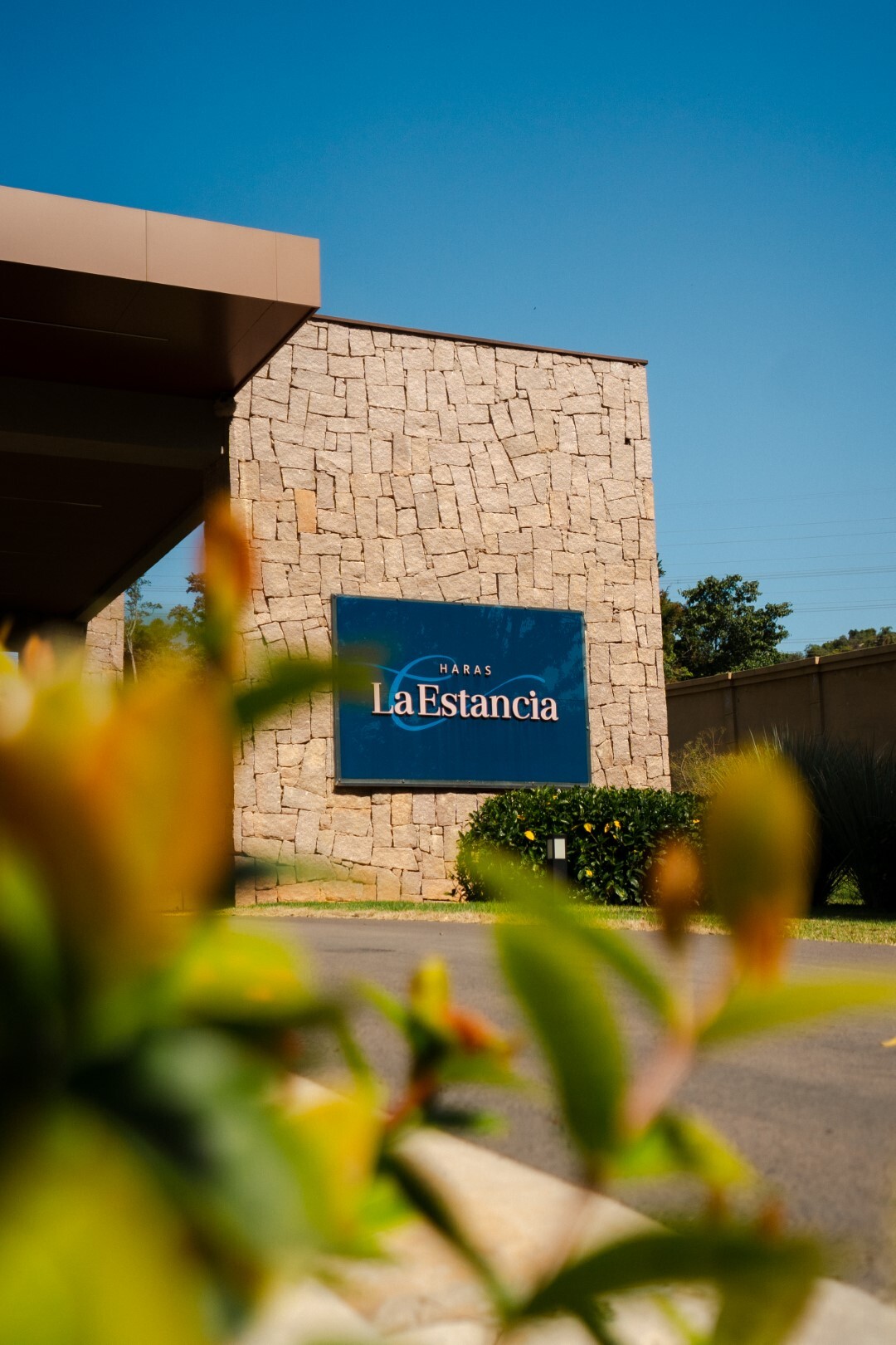 Haras La Estancia em Santana dos Cuiabanos, Valinhos – foto 3