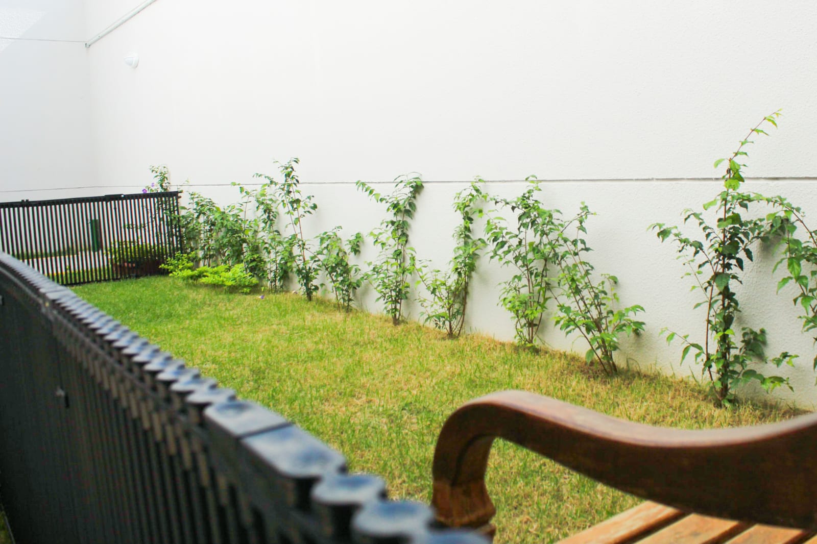 Jardim da Vila em Vila Ré, São Paulo – foto 17
