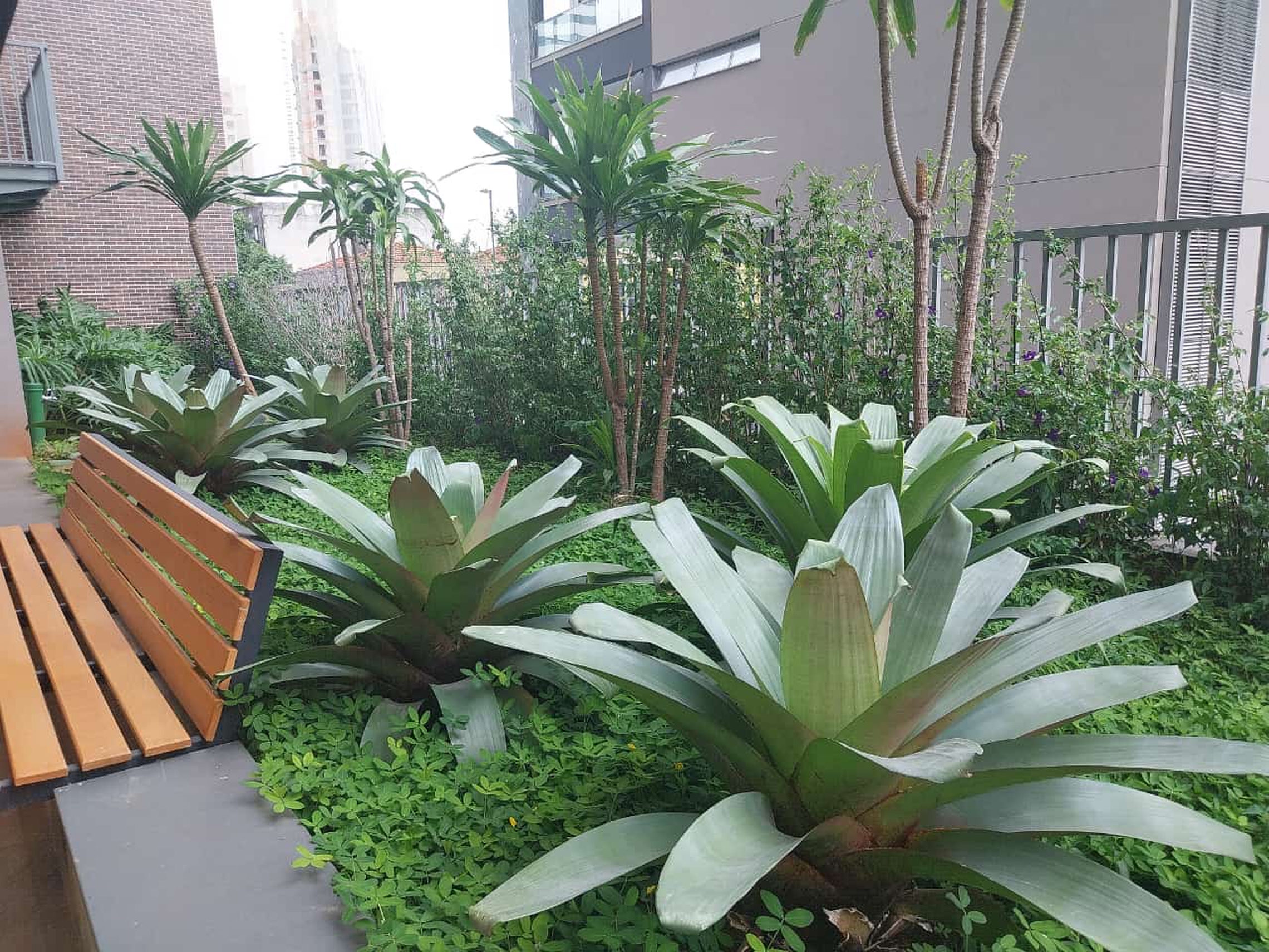 Vista Laura em Pinheiros, São Paulo – foto 13