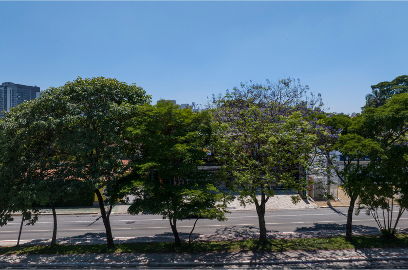 Monã The Grand Lodge em Moema, São Paulo – foto 61