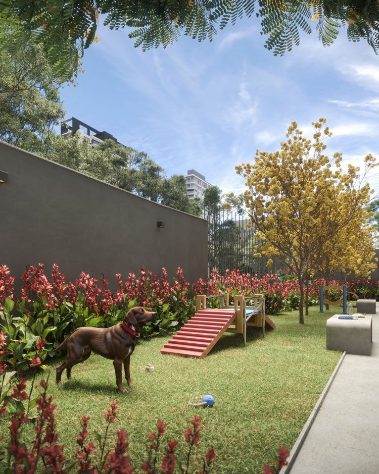 Today Paraíso em Paraíso, São Paulo – foto 16