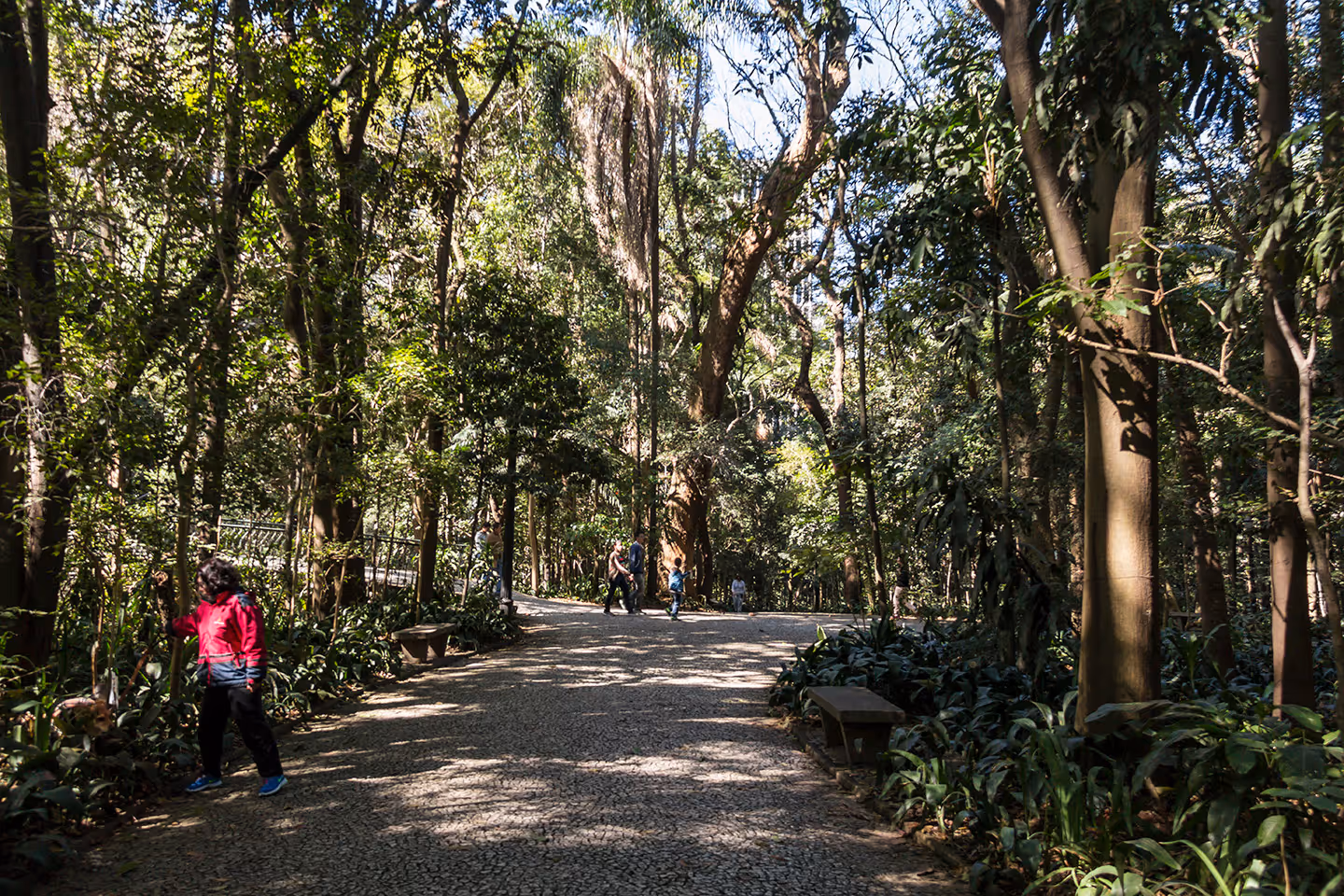 Alameda 45 em Paraíso, São Paulo – foto 47