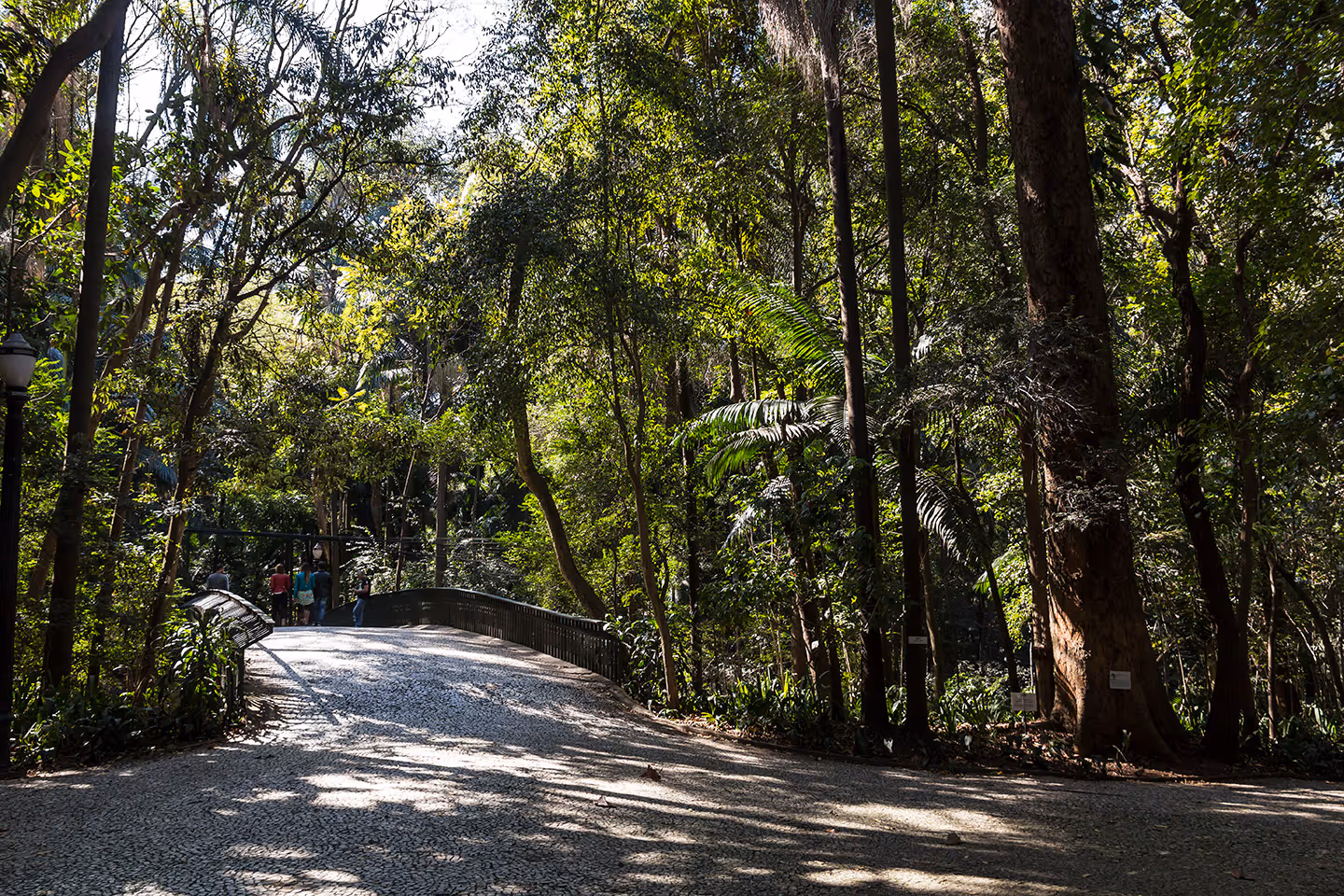 Alameda 45 em Paraíso, São Paulo – foto 48