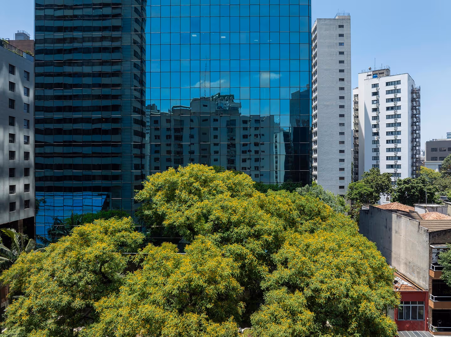 Alameda 45 em Paraíso, São Paulo – foto 62
