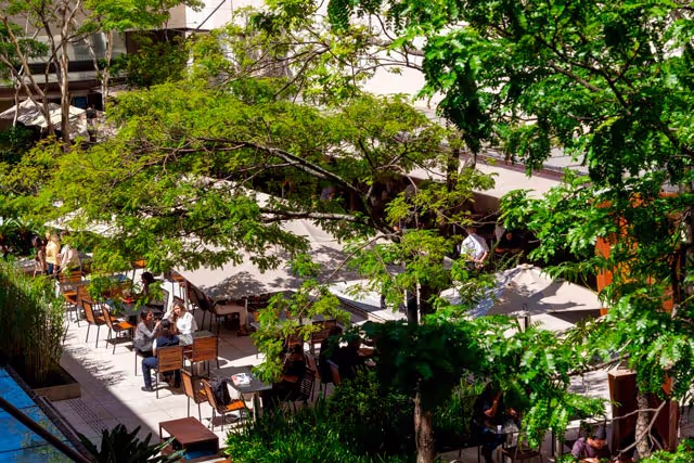 Albero em Itaim Bibi, São Paulo – foto 44