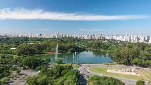 Albero em Itaim Bibi, São Paulo – foto 40