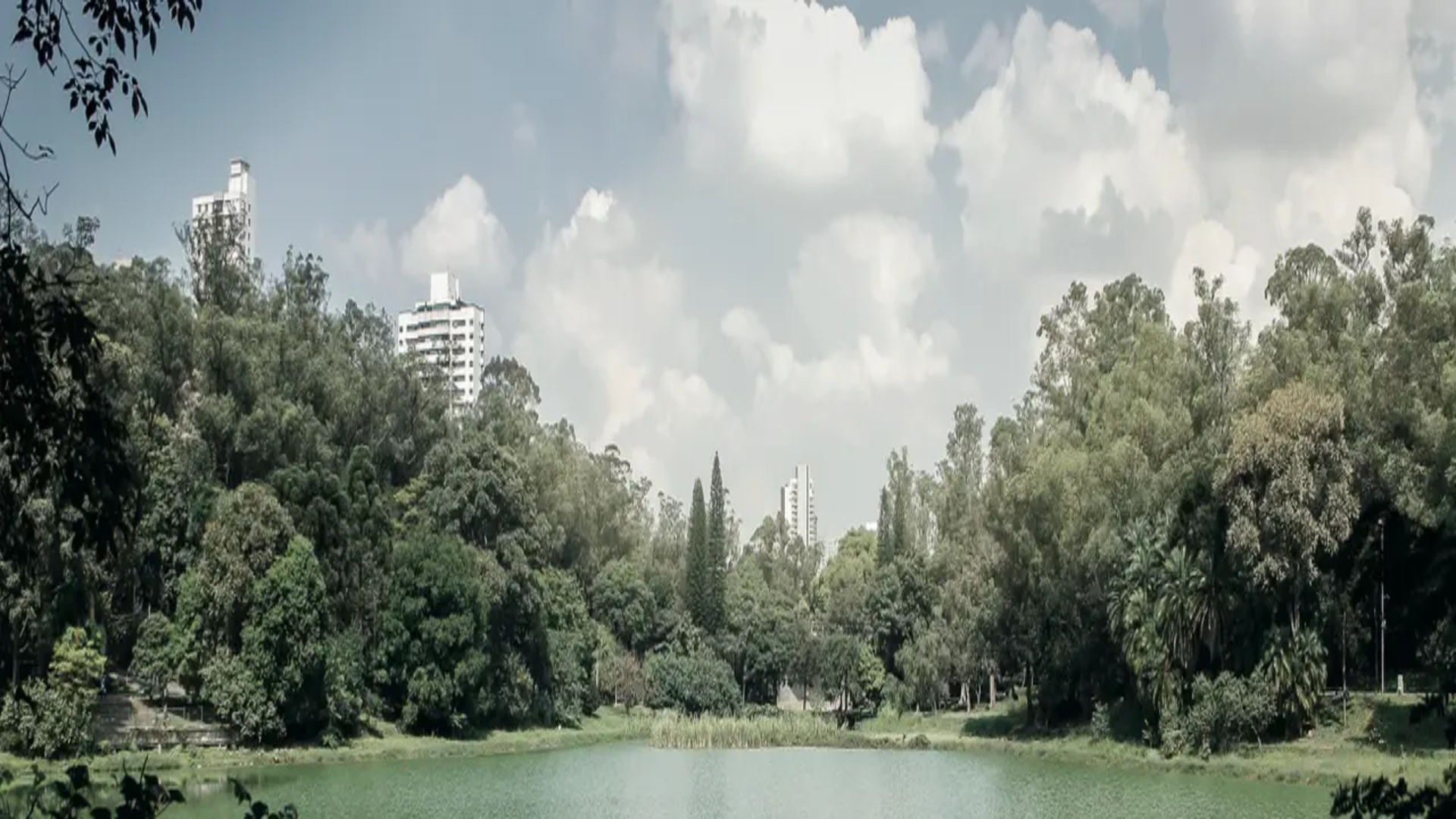 CAPITOLO by Piero Lissoni em Chácara Klabin, São Paulo – foto 41